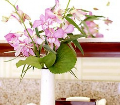 Картинка 4 Фото 4