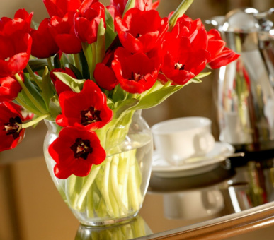 Картинка The Fairmont Palliser (Канада, Калгари, штат Альберта) 12 Фото The Fairmont Palliser (Канада, Калгари, штат Альберта) 12