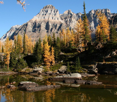 Картинка The Post Hotel 13 Фото The Post Hotel 13