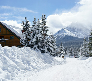 Картинка The Post Hotel 11 Фото The Post Hotel 11