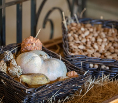 Фото Le Moulin de Lourmarin 14