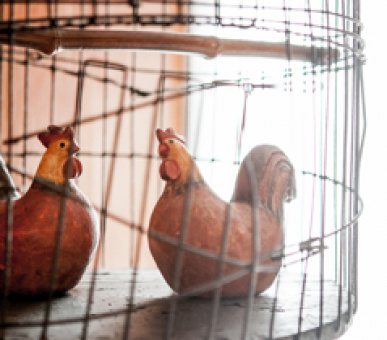 Фото La Bastide de Moustiers 54