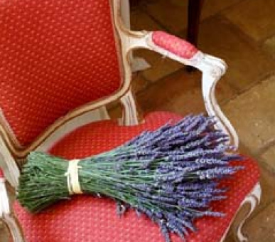 Фото La Bastide de Moustiers 26