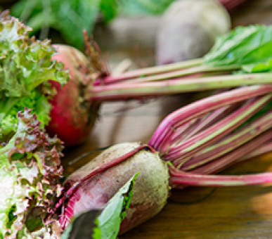 Фото La Bastide de Moustiers 35