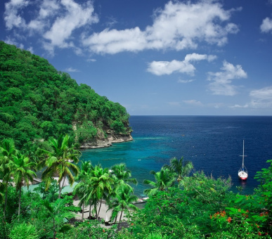 Картинка Anse Chastanet (, Сент-Люсия) 13 Фото Anse Chastanet (, Сент-Люсия) 13