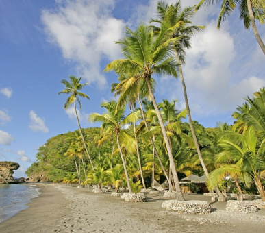 Картинка Anse Chastanet (, Сент-Люсия) 10 Фото Anse Chastanet (, Сент-Люсия) 10
