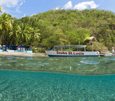 Картинка Anse Chastanet (, Сент-Люсия) 21 Фото Anse Chastanet (, Сент-Люсия) 21