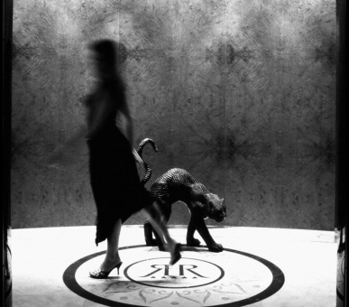 Картинка Hotel Le Royal (, Люксембург) 15 Фото Hotel Le Royal (, Люксембург) 15