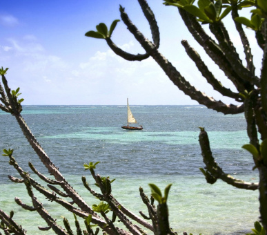 Картинка Le Cap Est Lagoon Resort 14 Фото Le Cap Est Lagoon Resort 14