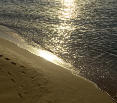 Фото The Fairmont Royal Pavilion (, Барбадос) 20