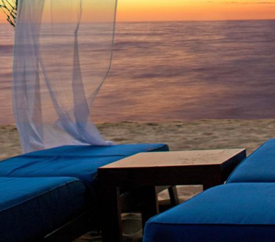 Картинка The House (, Барбадос) 17 Фото The House (, Барбадос) 17