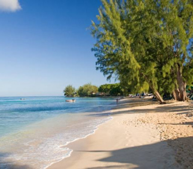 Фото Coral Reef Club (, Барбадос) 20