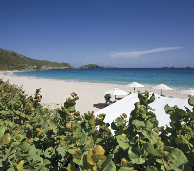 Картинка Hotel Saint-Barth Isle de France (Сен-Бартельми, Сен-Бартельми) 14 Фото Hotel Saint-Barth Isle de France (Сен-Бартельми, Сен-Бартельми) 14