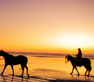 Фото Carl Gustaf (, Сен-Бартельми) 46