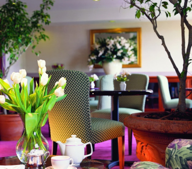 Картинка The Fairmont Hamilton Princess (, Бермуды) 29 Фото The Fairmont Hamilton Princess (, Бермуды) 29