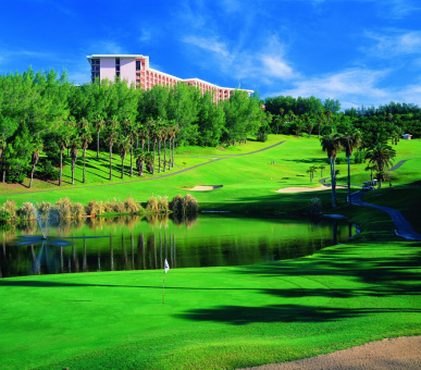 Картинка Fairmont Southampton (, Бермуды) 30 Фото Fairmont Southampton (, Бермуды) 30