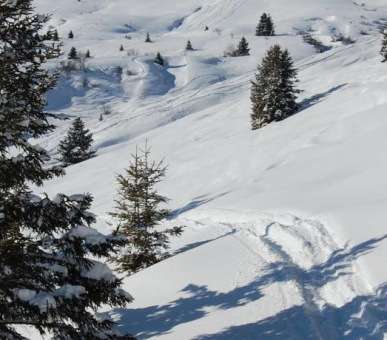 Картинка Cervosa (Австрия, Серфаус) 39 Фото Cervosa (Австрия, Серфаус) 39