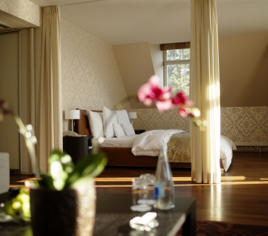 Картинка Park Hotel Weggis - The Sparkling Resort 40 Фото Park Hotel Weggis - The Sparkling Resort 40