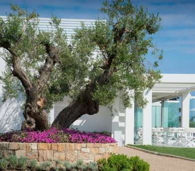 Фото Ikos Olivia 56