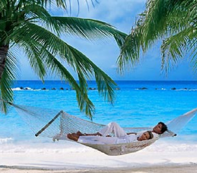 Картинка 18 Фото 18