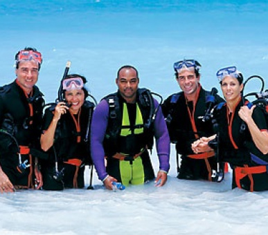 Картинка 21 Фото 21