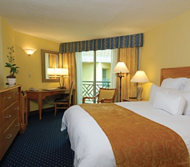 Картинка 6 Фото 6