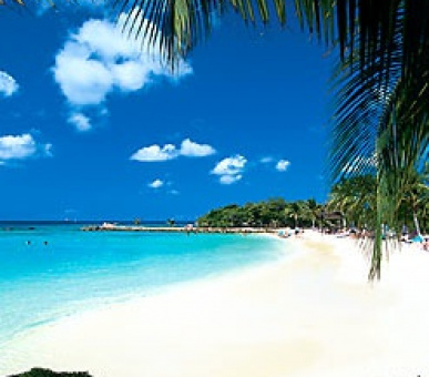 Картинка 1 Фото 1