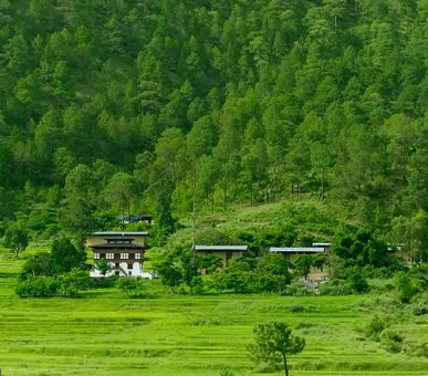 Картинка Amankora Paro 17 Фото Amankora Paro 17