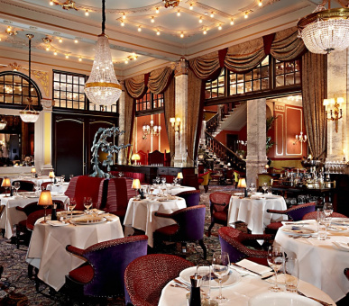 Картинка Hotel Des Indes The Hague (Нидерланды, Гаага) 18 Фото Hotel Des Indes The Hague (Нидерланды, Гаага) 18