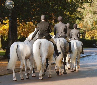 Картинка The Lanesborough (Великобритания, Лондон) 13 Фото The Lanesborough (Великобритания, Лондон) 13