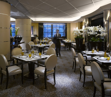 Картинка The Savoy (Великобритания, Лондон) 4 Фото The Savoy (Великобритания, Лондон) 4