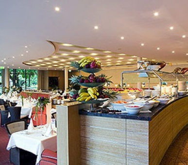 Картинка Dorint Sofitel Pallas Wiesbaden 1 Фото Dorint Sofitel Pallas Wiesbaden 1