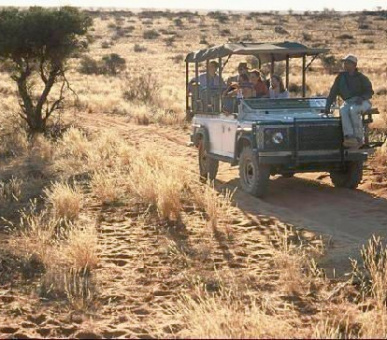 Картинка 9 Фото 9