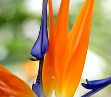 Картинка 18 Фото 18