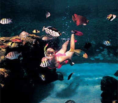 Картинка 13 Фото 13