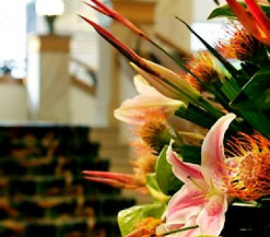 Картинка 33 Фото 33