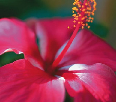 Картинка 11 Фото 11