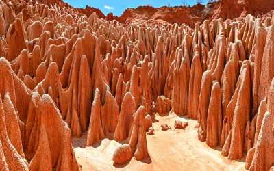 Мадагаскар Інша планета