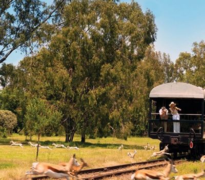 Від Кейптауна до Водоспаду Вікторія на Ретро Поїзді Rovos