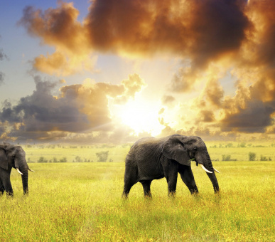 Люкс-тур Намібією